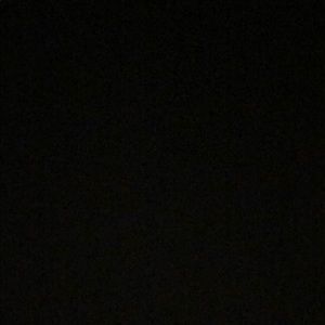 Meet your Posher, Oscar